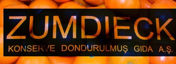 Canned mandarin processing line for Zumdieck