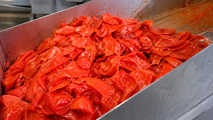 Tecnologías para reaprovechar pieles, semillas y pulpas evitando desperdicio